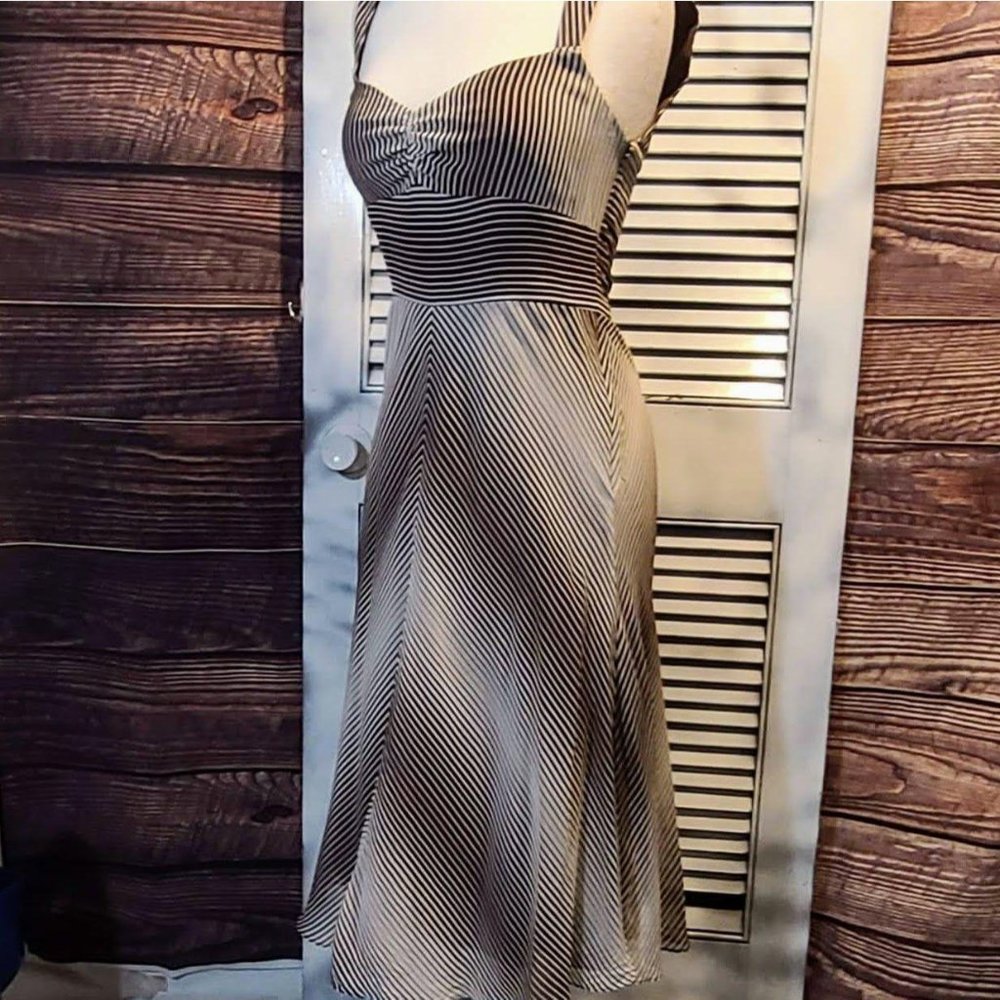 Banana Republic Sz 6 Silk Sundress